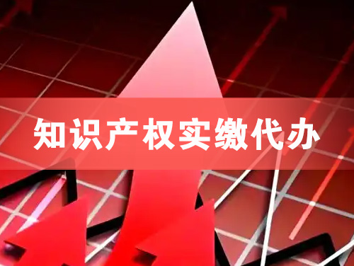内江知识产权实缴资本代办